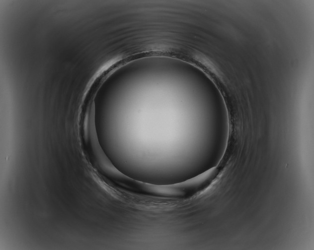 X0000087751026200705071109