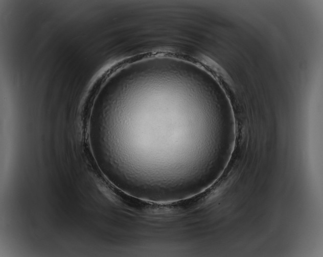 X0000087751027200705071109