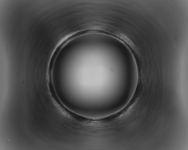 X0000087751028200705071109