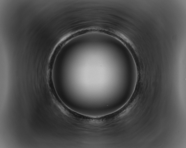 X0000087751029200705071109