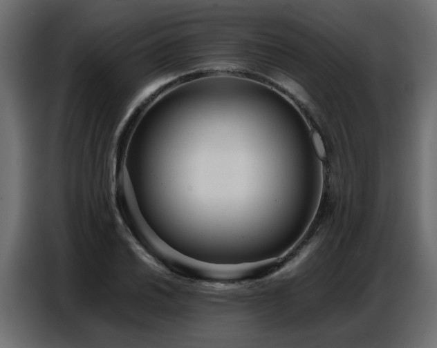 X0000087751030200705071109
