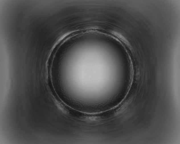 X0000087751031200705071109