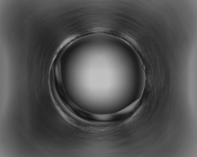 X0000087751034200705071109