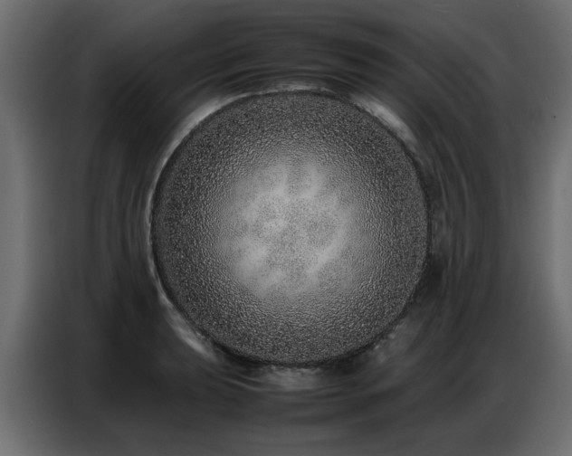 X0000087751039200705071109
