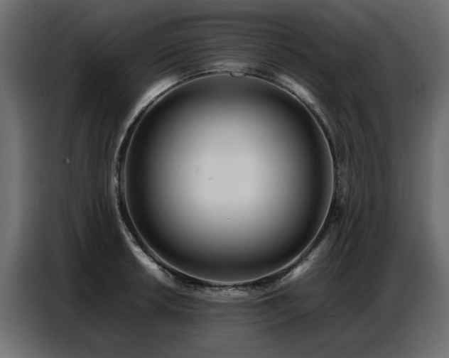 X0000087751042200705071109