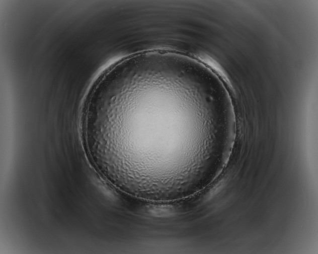 X0000087751043200705071109