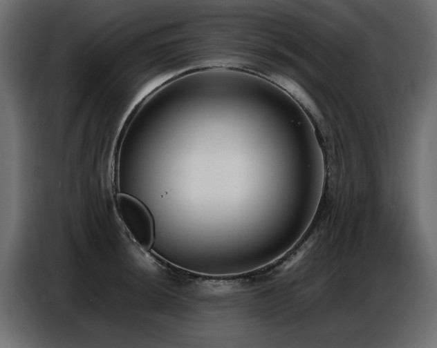 X0000087751044200705071109
