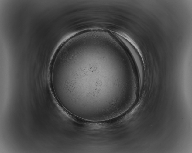 X0000087751045200705071109