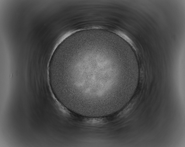 X0000087751047200705071109
