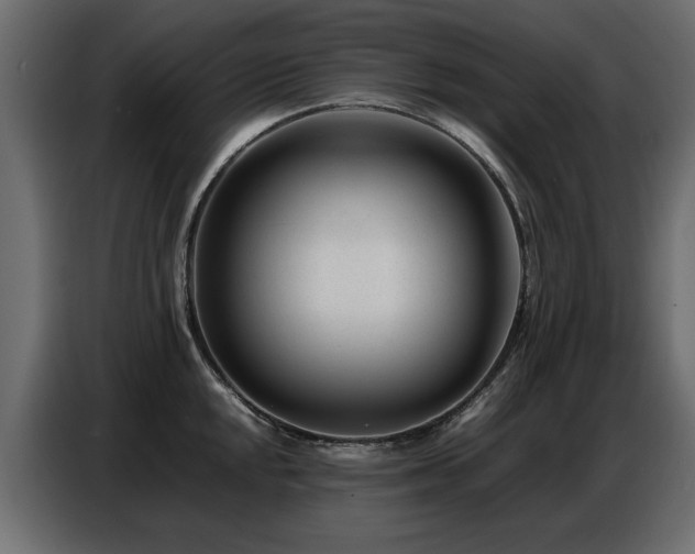 X0000087751048200705071109