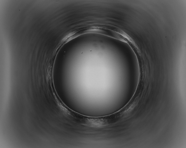 X0000087751049200705071109