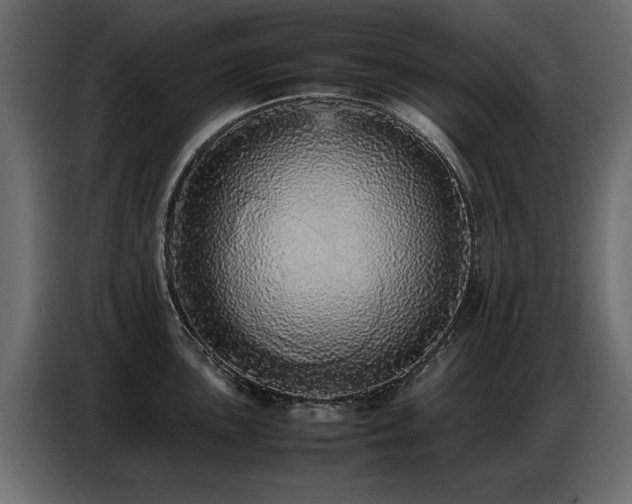 X0000087751051200705071109