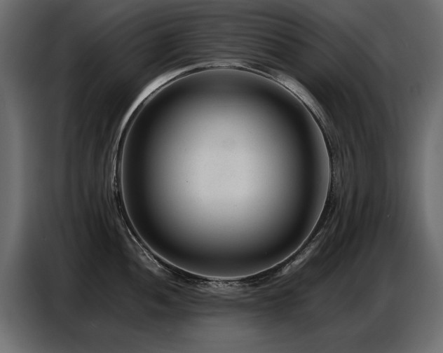 X0000087751052200705071109
