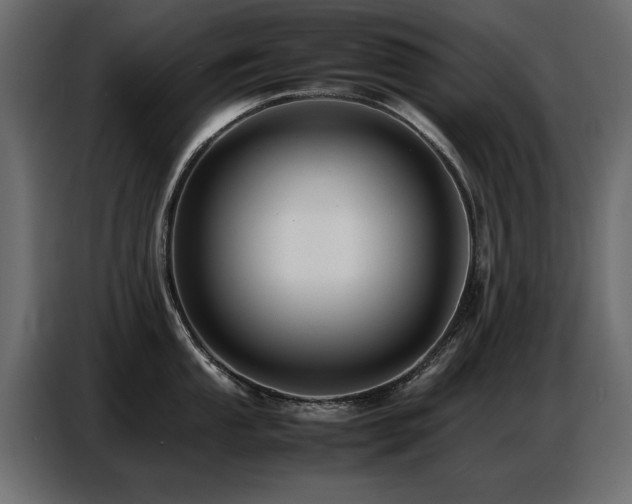 X0000087751053200705071109