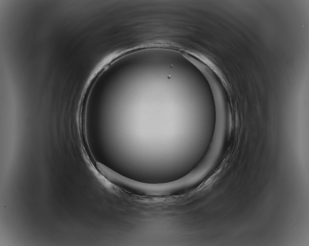 X0000087751054200705071109