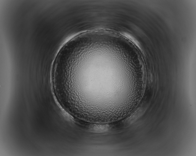 X0000087751055200705071109
