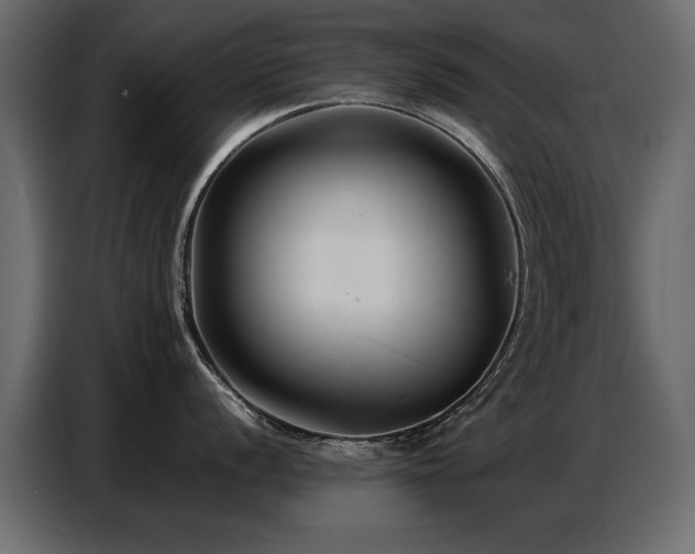 X0000087751056200705071109