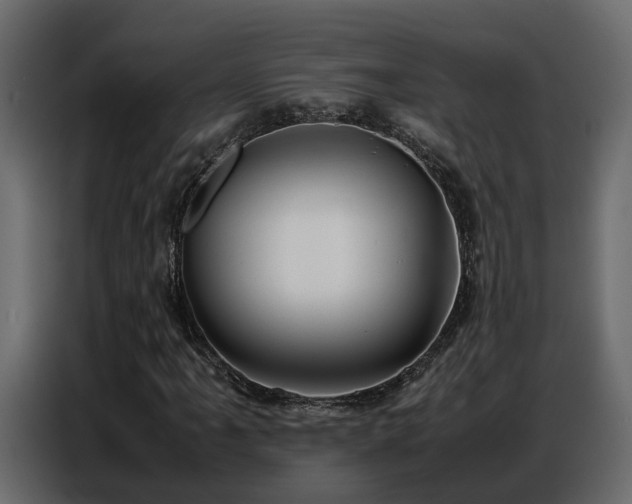 X0000087751061200705071108