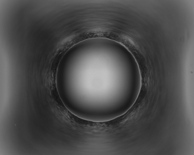 X0000087751062200705071108