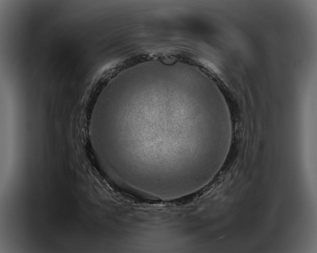 X0000087751063200705071108