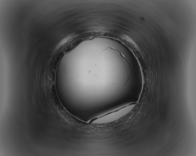 X0000087751064200705071108