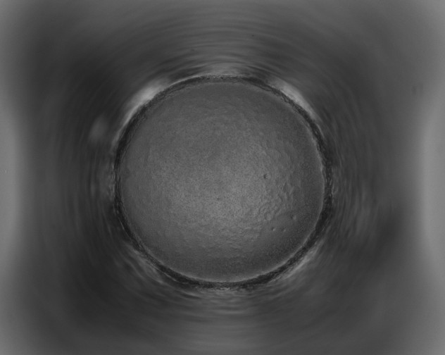 X0000087751067200705071108