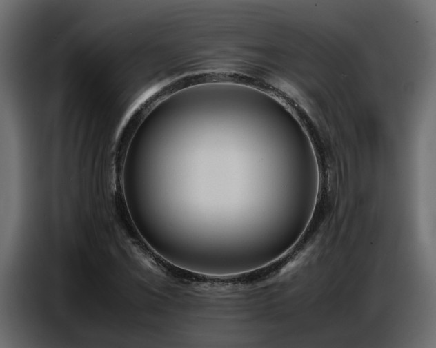 X0000087751069200705071108