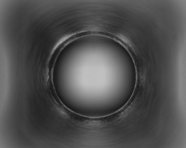 X0000087751070200705071108