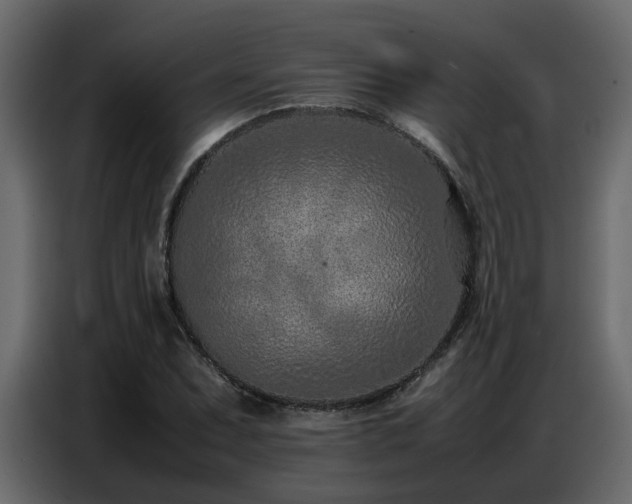 X0000087751071200705071108