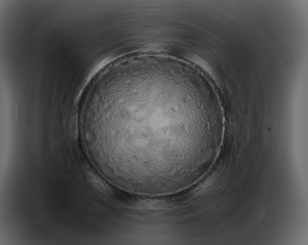 X0000087751075200705071108