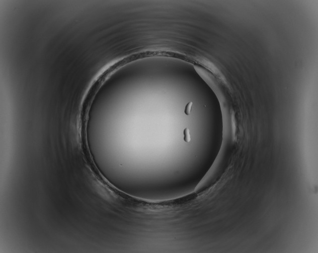 X0000087751076200705071108