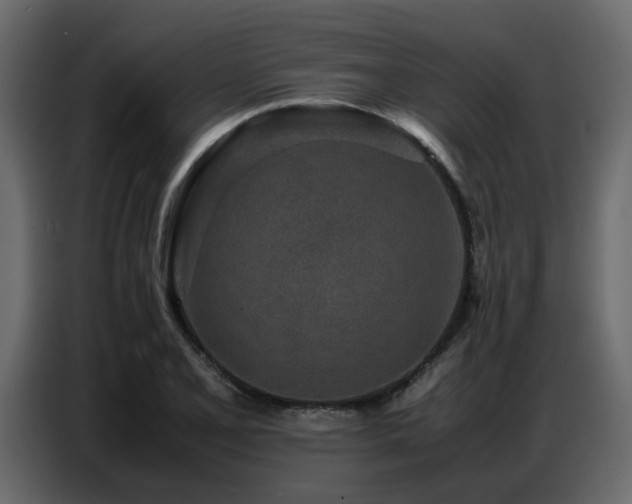 X0000087751077200705071108