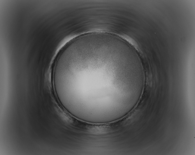 X0000087751078200705071108