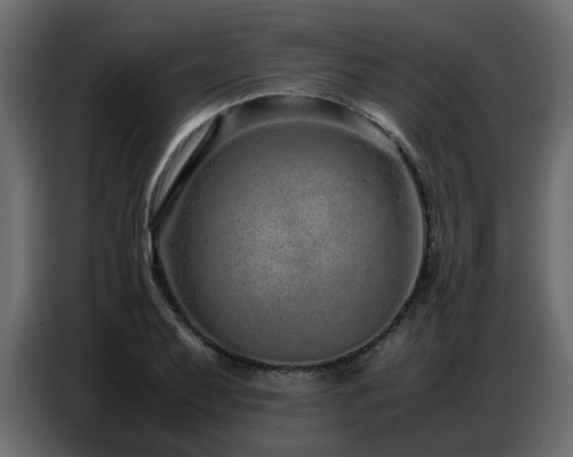 X0000087751079200705071108