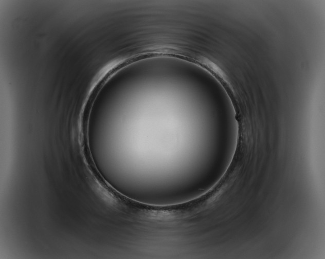 X0000087751082200705071108