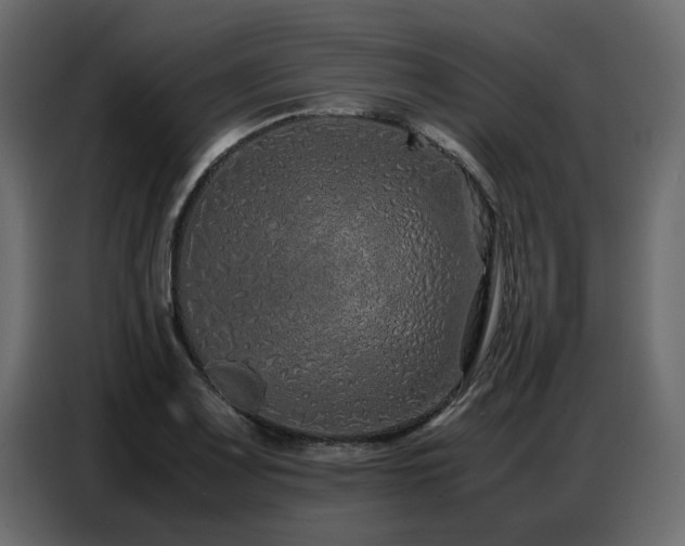 X0000087751083200705071108
