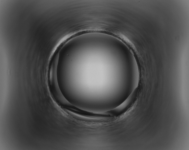 X0000087751085200705071108