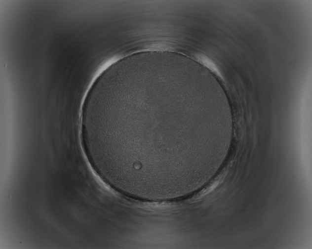 X0000087751087200705071108