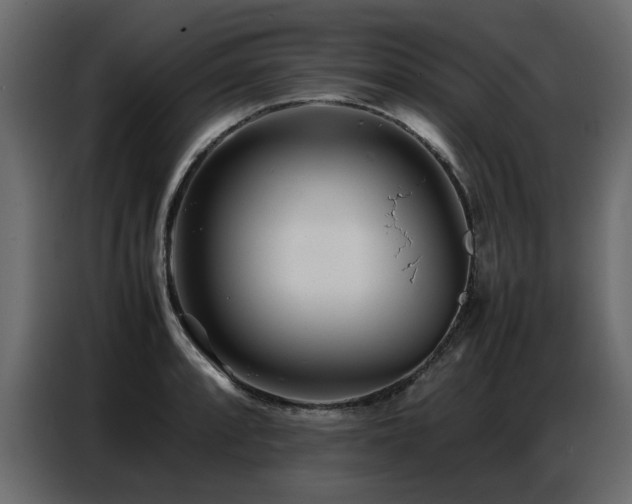 X0000087751088200705071108