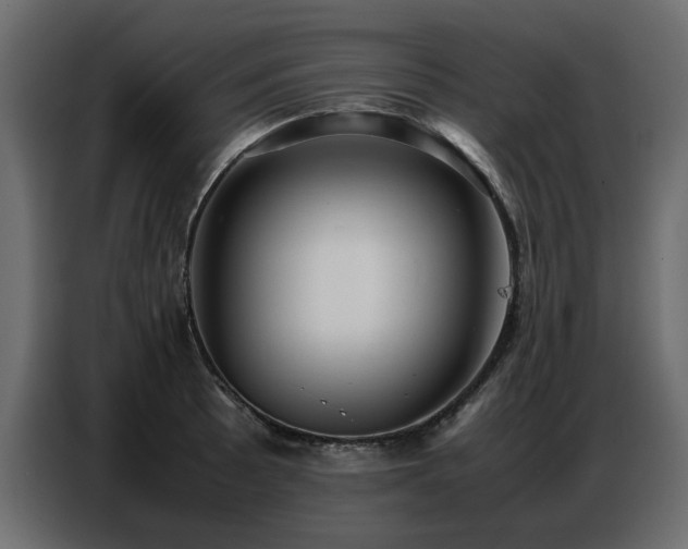 X0000087751089200705071108