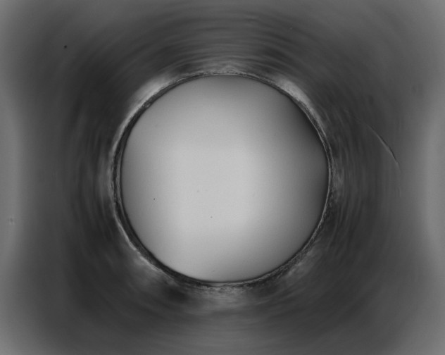 X0000087751090200705071108