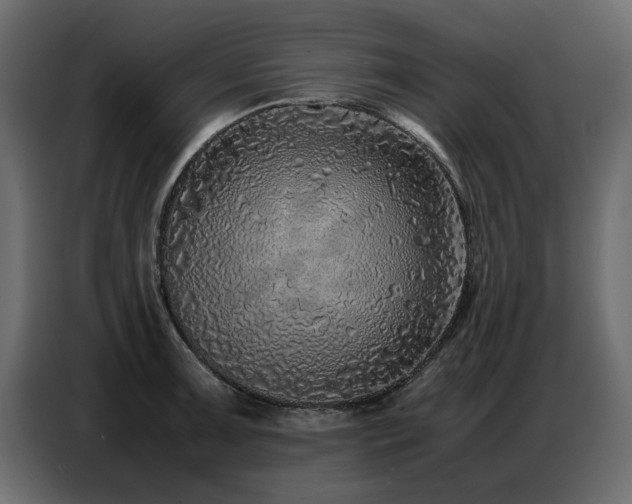X0000087751091200705071108