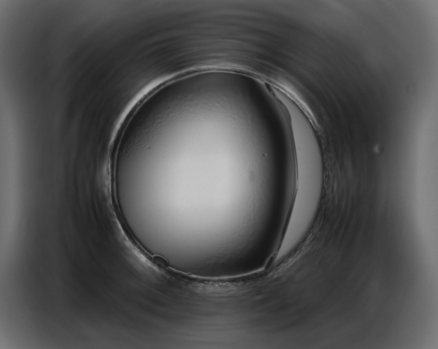 X0000087751092200705071108