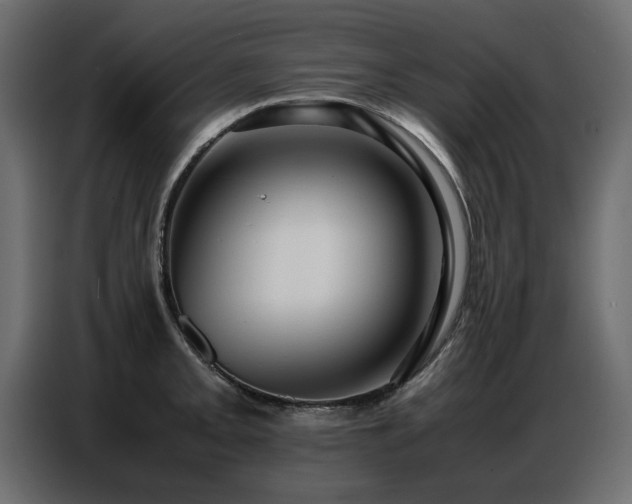 X0000087751093200705071108