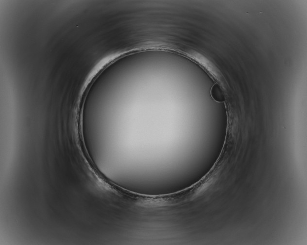 X0000087751094200705071108