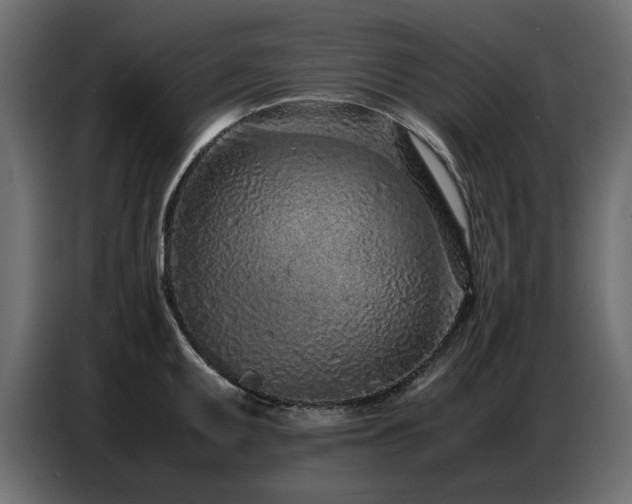 X0000087751095200705071108