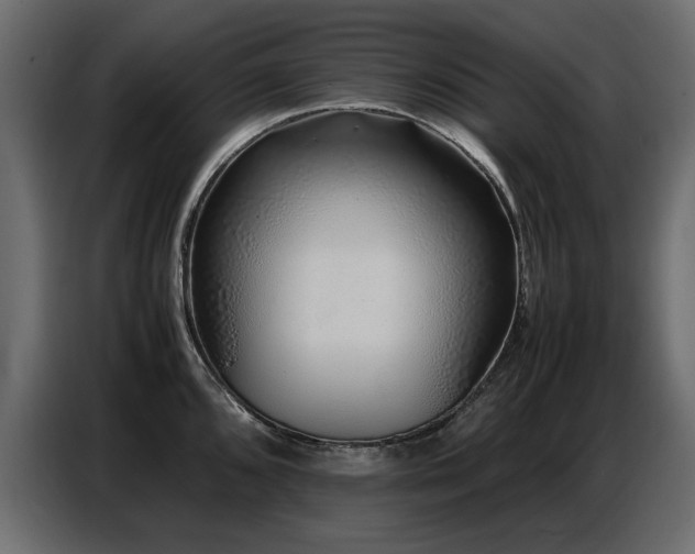 X0000087751096200705071108