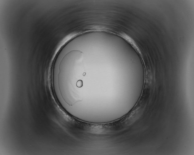 X0000087751098200705071108