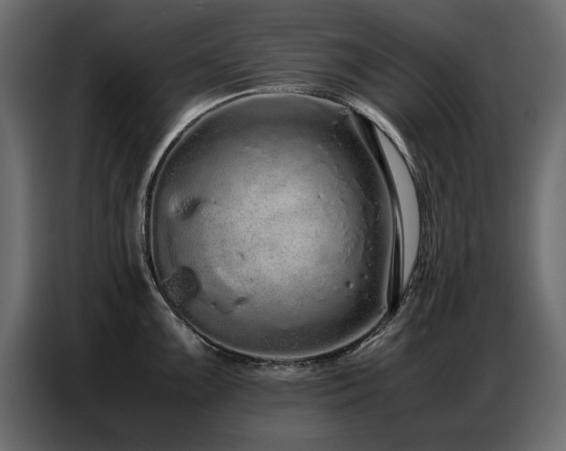 X0000087751099200705071108