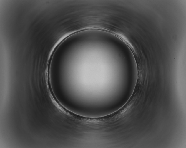 X0000087751100200705071108